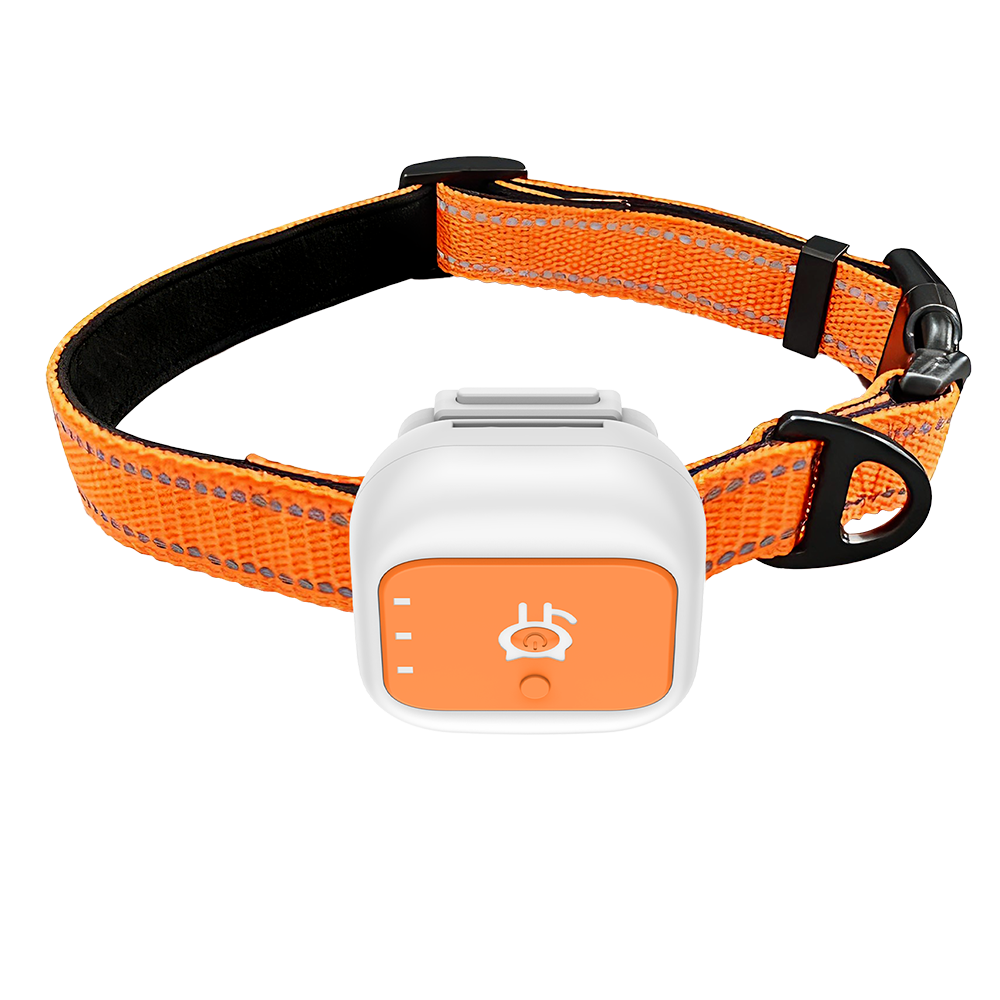 STLFMini Waterproof 4G GPS Dog – обзор и цена Barking Dog Alarm