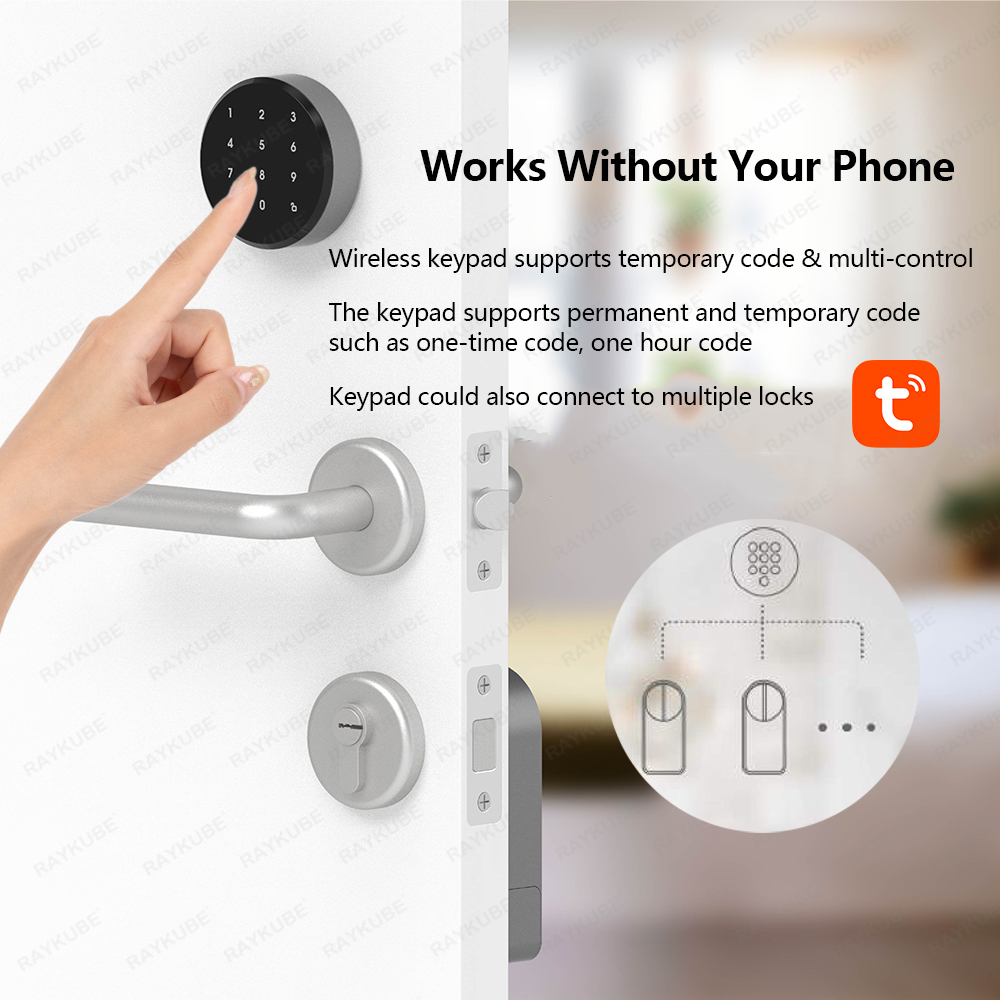 RAYKUBE A1 Pro Tuya BEL Smart  – обзор и цена Door Lock Smart Keypad