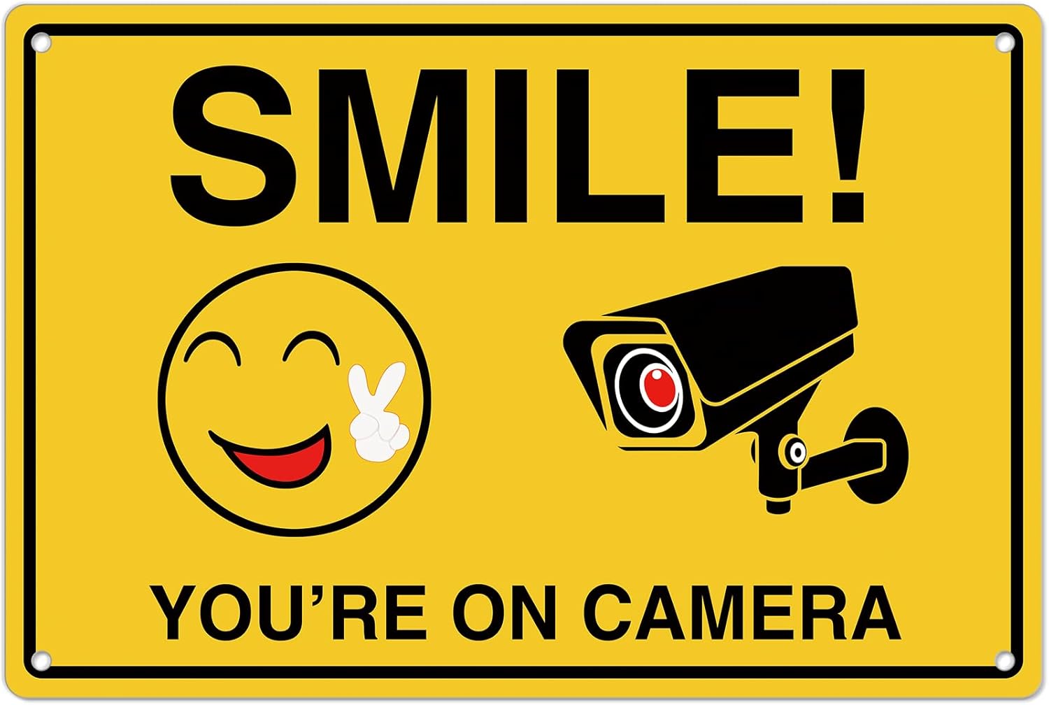 Smile Youre On Camera Signs ;  – обзор и цена Home Security Video