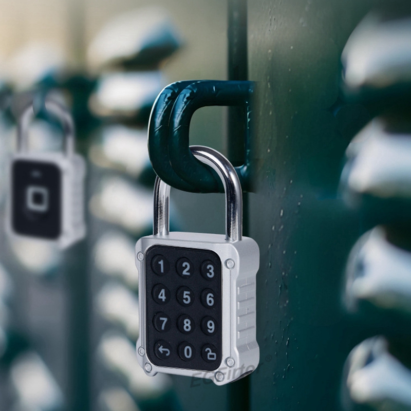 Tuya Bluetooth APP Remote Elec – обзор и цена Door Lock Smart Keypad