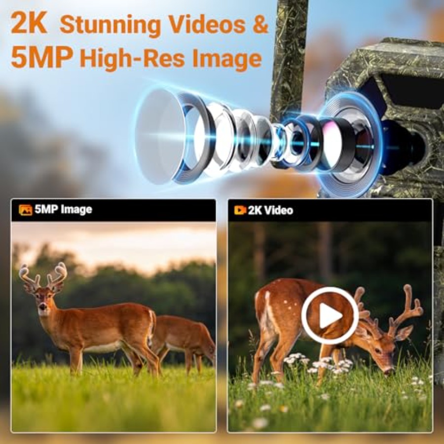 Wildlife monitoring and home s – обзор и цена Home Security Video